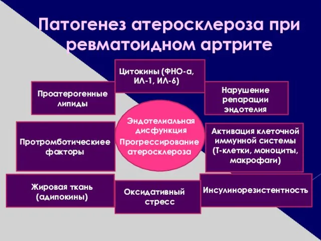 Патогенез атеросклероза при ревматоидном артрите Цитокины (ФНО-α, ИЛ-1, ИЛ-6) Нарушение