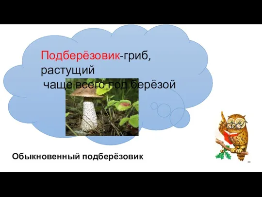 .. Подберёзовик-гриб, растущий чаще всего под берёзой Обыкновенный подберёзовик