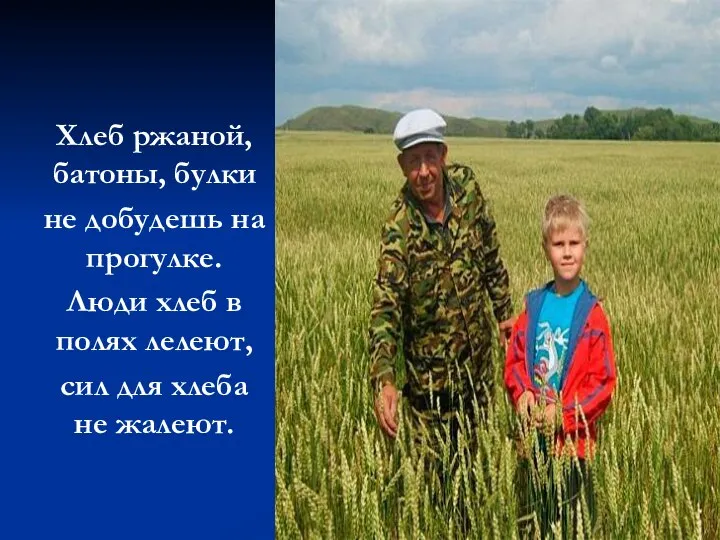 Хлеб ржаной, батоны, булки не добудешь на прогулке. Люди хлеб в полях лелеют,