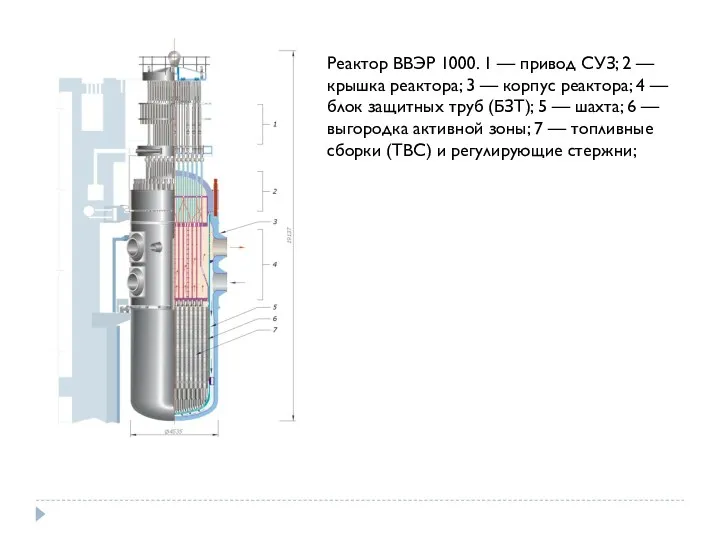 Реактор ВВЭР 1000. 1 — привод СУЗ; 2 — крышка