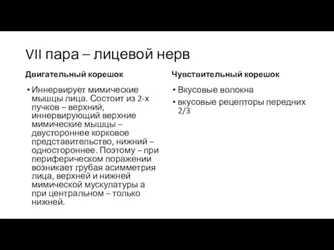 VII пара – лицевой нерв Двигательный корешок Иннервирует мимические мышцы