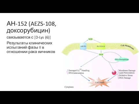 АН-152 (AEZS-108, доксорубицин) связывается с [D-Lys (6)] Результаты клинических испытаний фазы II в отношении рака яичников