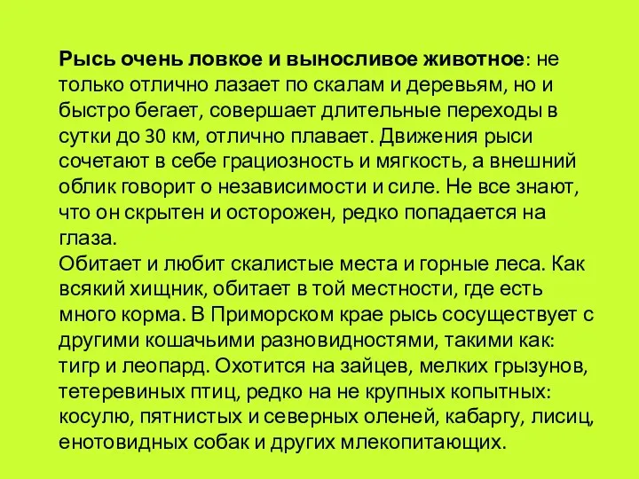 Рысь очень ловкое и выносливое животное: не только отлично лазает