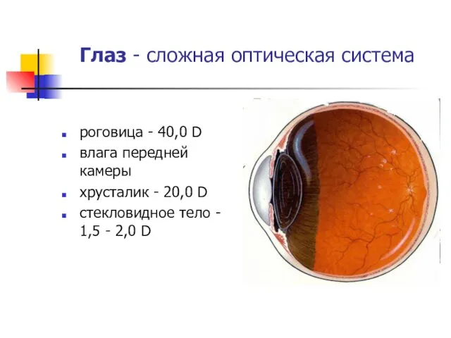 Глаз - сложная оптическая система роговица - 40,0 D влага