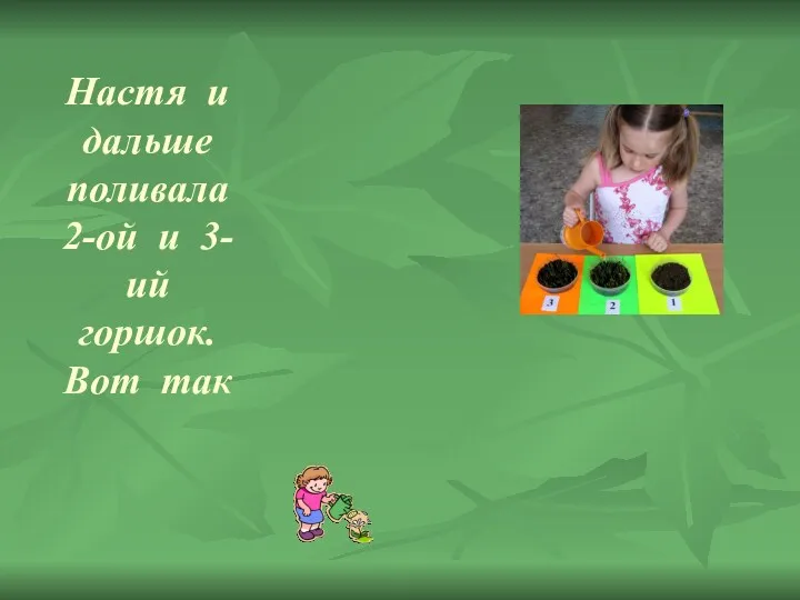 Настя и дальше поливала 2-ой и 3-ий горшок. Вот так