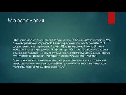 Морфология РПЖ чаще представлен аденокарциномой. В большинстве случаев (75%) аденокарциномы