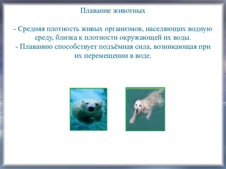 Плавание животных - Средняя плотность живых организмов, населяющих водную среду,