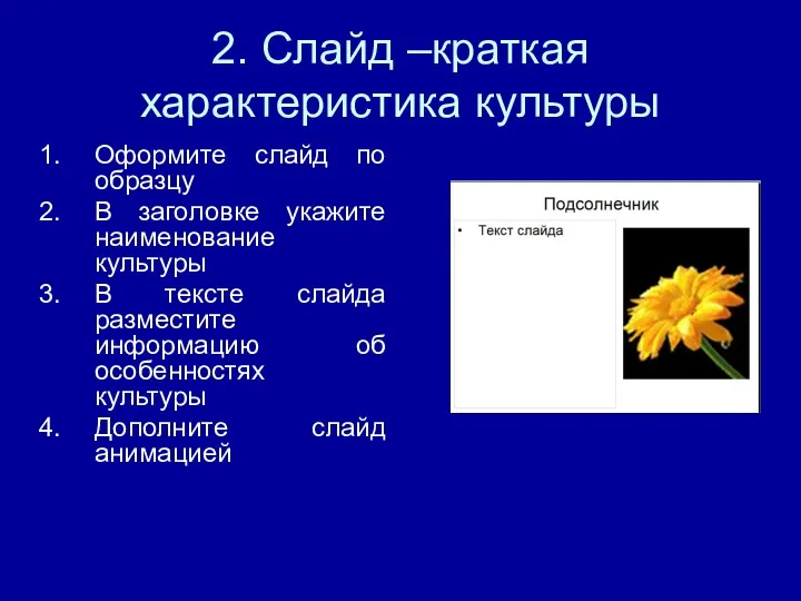 2. Слайд –краткая характеристика культуры Оформите слайд по образцу В