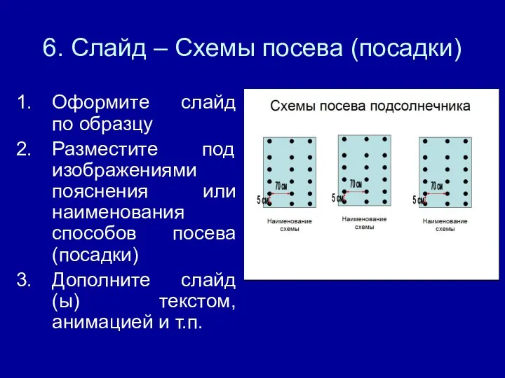 6. Слайд – Схемы посева (посадки) Оформите слайд по образцу Разместите под изображениями