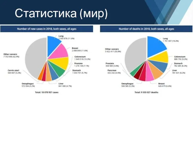 Статистика (мир)