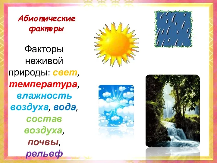 Абиотические факторы Факторы неживой природы: свет, температура, влажность воздуха, вода, состав воздуха, почвы, рельеф местности