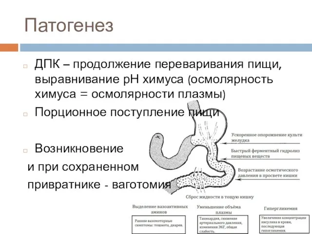 Патогенез ДПК – продолжение переваривания пищи, выравнивание рН химуса (осмолярность