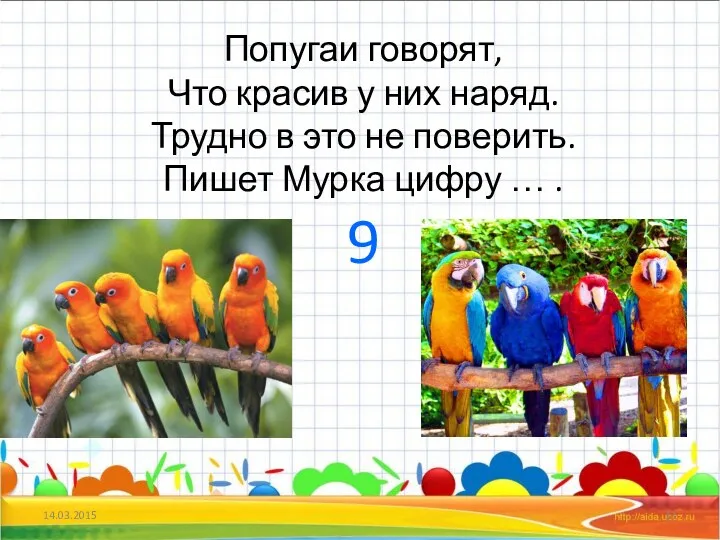 Попугаи говорят, Что красив у них наряд. Трудно в это