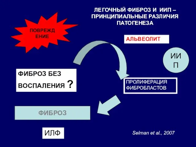 ПОВРЕЖДЕНИЕ ЛЕГОЧНЫЙ ФИБРОЗ И ИИП – ПРИНЦИПИАЛЬНЫЕ РАЗЛИЧИЯ ПАТОГЕНЕЗА АЛЬВЕОЛИТ