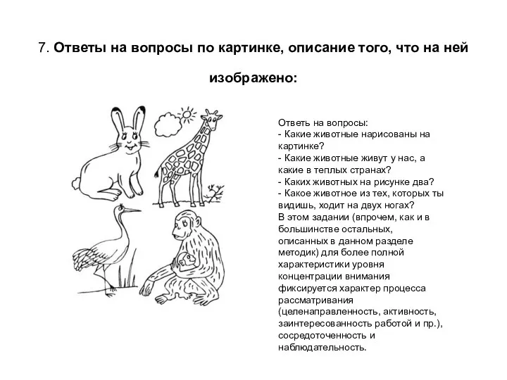 7. Ответы на вопросы по картинке, описание того, что на