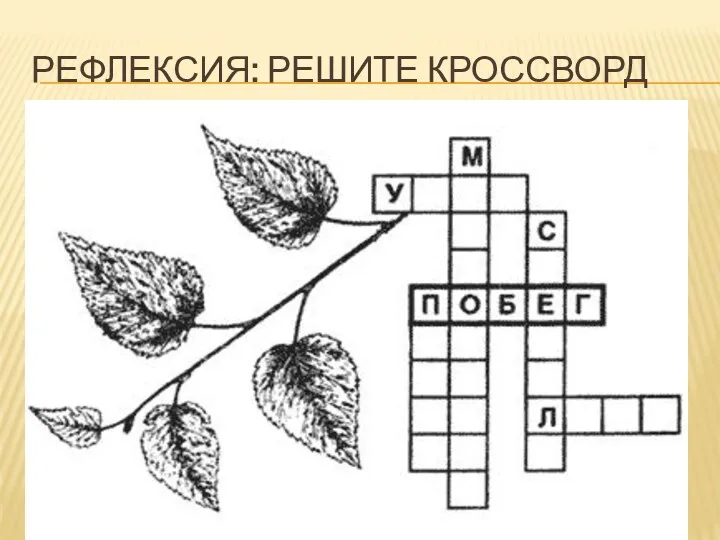 Рефлексия: решите кроссворд