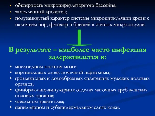 В результате – наиболее часто инфекция задерживается в: миелоидном костном