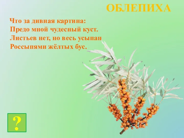 Что за дивная картина: Предо мной чудесный куст. Листьев нет,