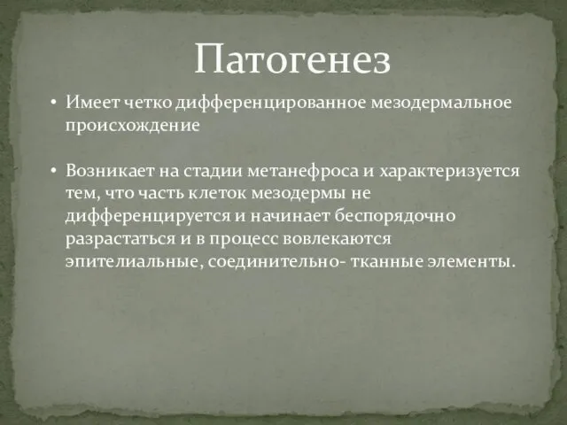 Патогенез Имеет четко дифференцированное мезодермальное происхождение Возникает на стадии метанефроса