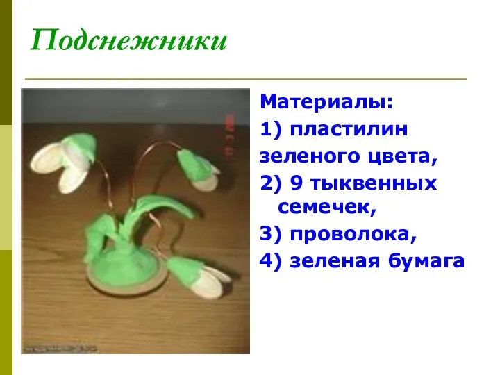 Подснежники Материалы: 1) пластилин зеленого цвета, 2) 9 тыквенных семечек, 3) проволока, 4) зеленая бумага