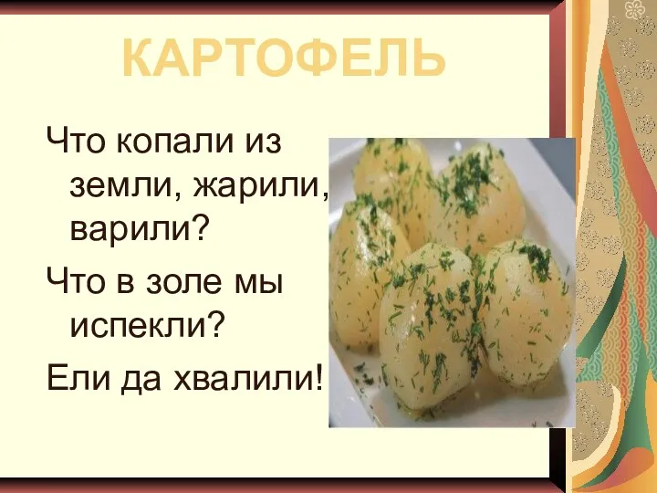 КАРТОФЕЛЬ Что копали из земли, жарили, варили? Что в золе мы испекли? Ели да хвалили!