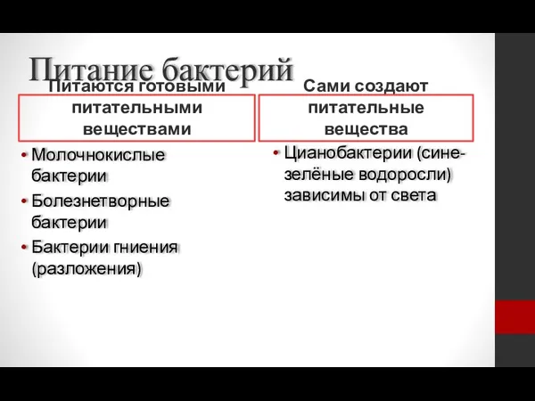 Питание бактерий Питаются готовыми питательными веществами Молочнокислые бактерии Болезнетворные бактерии