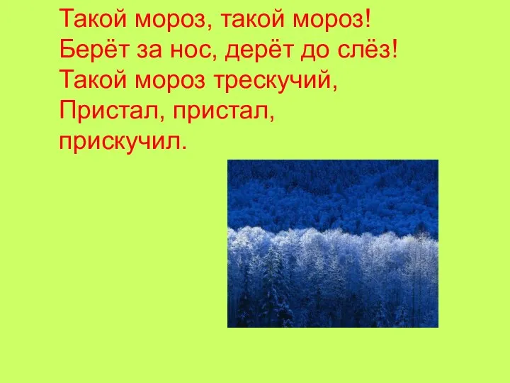 Такой мороз, такой мороз! Берёт за нос, дерёт до слёз! Такой мороз трескучий, Пристал, пристал, прискучил.