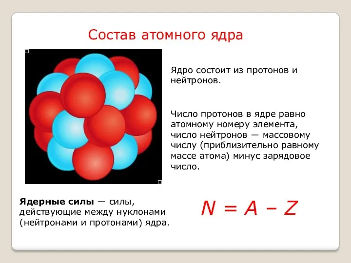 Ядро состоит из протонов и нейтронов. Число протонов в ядре