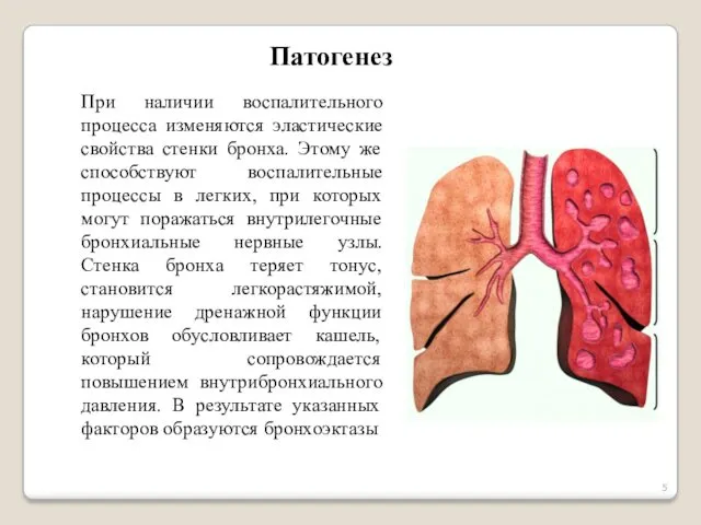 При наличии воспалительного процесса изменяются эластические свойства стенки бронха. Этому