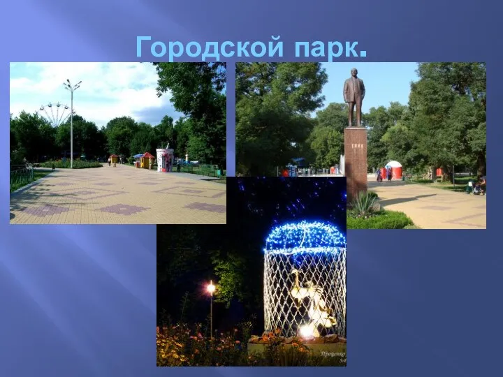 Городской парк.