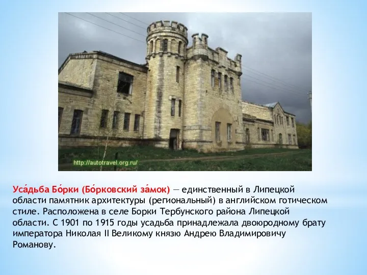 Уса́дьба Бо́рки (Бо́рковский за́мок) — единственный в Липецкой области памятник архитектуры (региональный) в