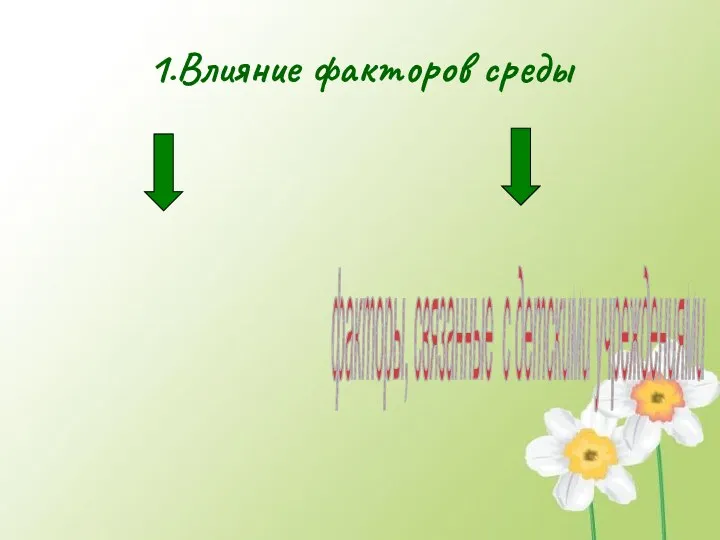 1.Влияние факторов среды семейные неблагоприятные факторы факторы, связанные с детскими учреждениями