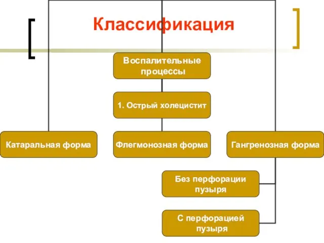 Классификация