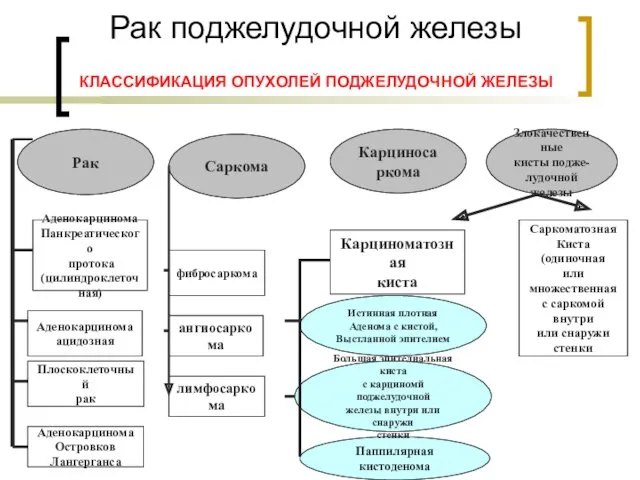 Паппилярная кистоденома Большая эпителиальная киста с карциномй поджелудочной железы внутри