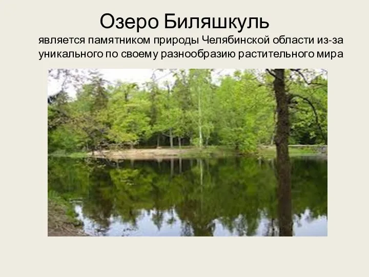 Озеро Биляшкуль является памятником природы Челябинской области из-за уникального по своему разнообразию растительного мира