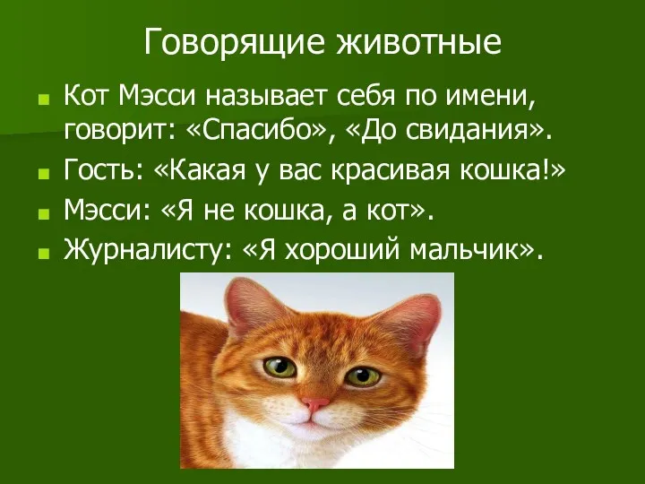 Говорящие животные Кот Мэсси называет себя по имени, говорит: «Спасибо»,