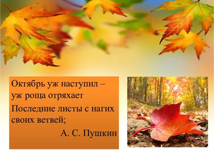 Октябрь уж наступил – уж роща отряхает Последние листы с нагих своих ветвей; А. С. Пушкин