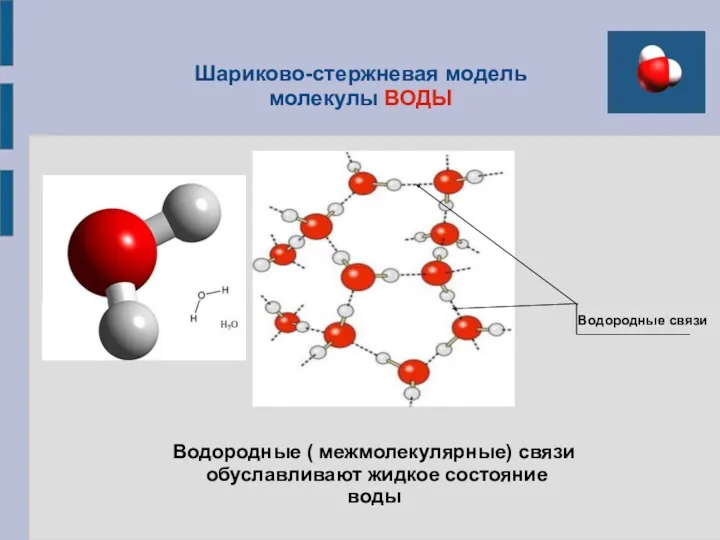 Шариково-стержневая модель молекулы ВОДЫ Водородные связи Водородные ( межмолекулярные) связи обуславливают жидкое состояние воды