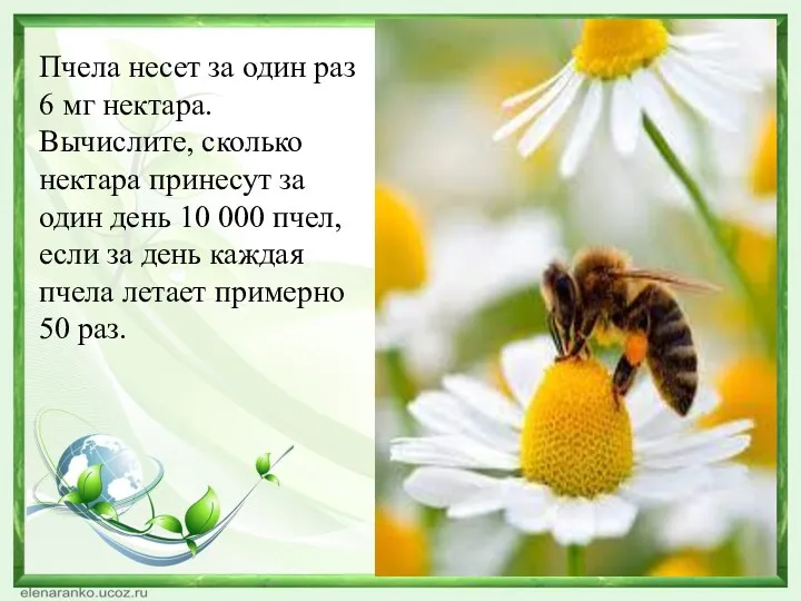 Пчела несет за один раз 6 мг нектара. Вычислите, сколько