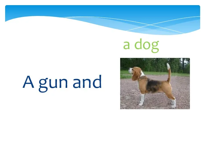 a dog A gun and