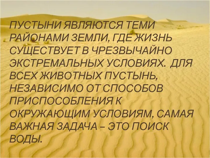 Пустыни являются теми районами земли, где жизнь существует в чрезвычайно