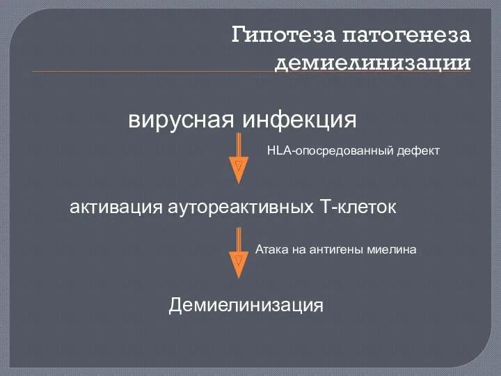 Гипотеза патогенеза демиелинизации вирусная инфекция активация аутореактивных Т-клеток Атака на антигены миелина Демиелинизация HLA-опосредованный дефект