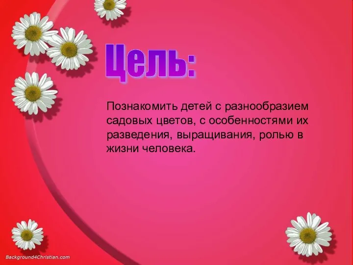 Познакомить детей с разнообразием садовых цветов, с особенностями их разведения,