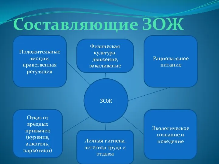 Составляющие ЗОЖ ЗОЖ Положительные эмоции, нравственная регуляция Физическая культура, движение,