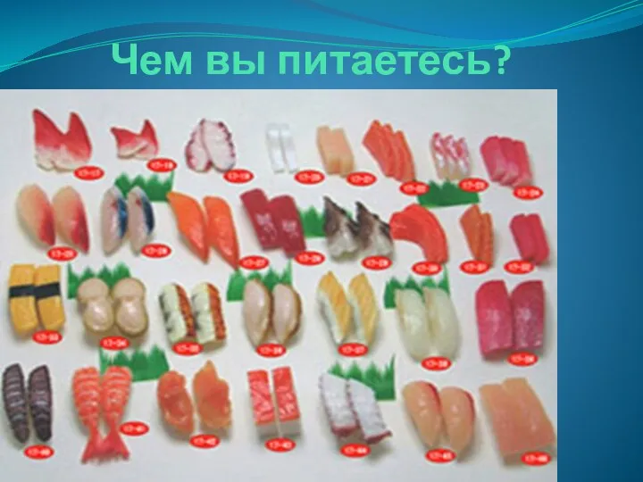 Чем вы питаетесь?