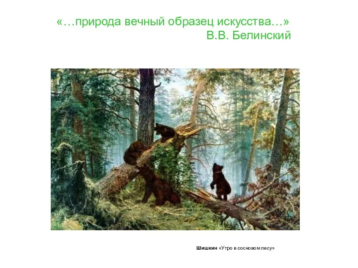 «…природа вечный образец искусства…» В.В. Белинский Шишкин «Утро в сосновом лесу»