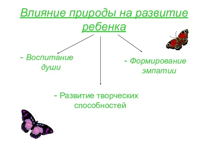 Влияние природы на развитие ребенка - Воспитание души - Развитие творческих способностей - Формирование эмпатии