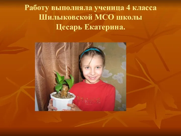 Работу выполняла ученица 4 класса Шилыковской МСО школы Цесарь Екатерина.