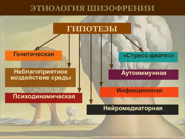 ЭТИОЛОГИЯ ШИЗОФРЕНИИ Генетическая Неблагоприятное воздействие среды Психодинамическая Инфекционная Аутоиммунная Нейромедиаторная «Стресс-диатез» ГИПОТЕЗЫ