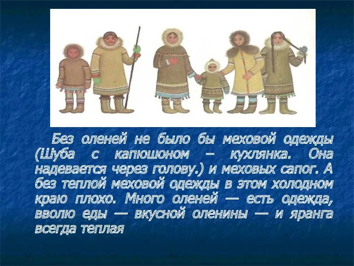 Без оленей не было бы меховой одежды (Шуба с капюшоном